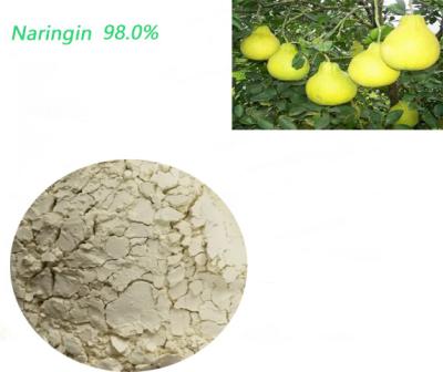 Chine Poudre d'Osbeck de citrus sinensis d'extrait de naringine de nourriture biologique allégeant la douleur à vendre