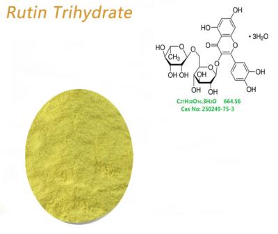 Китай Чистый порошок рутина выдержки бутона Флос Софораэ как ресурс Троксрутин продается