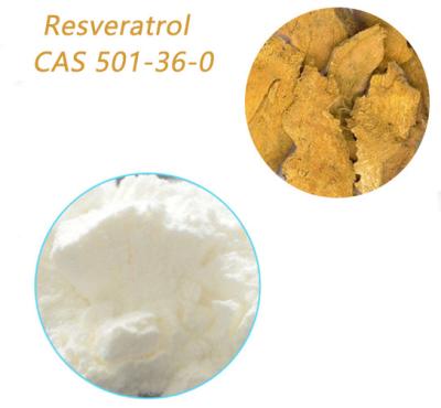 China Pure Herbal Extract Powder Polygonum Cuspidatum Extract Resveratrol CAS 501-36-0 for sale