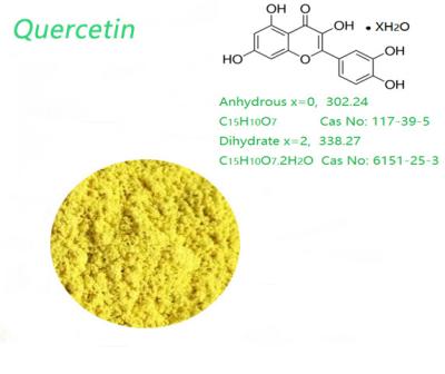 China Dihydrate 95.0% HPLC Yellow Organic Quercetin Powder Weight Loss use for sale