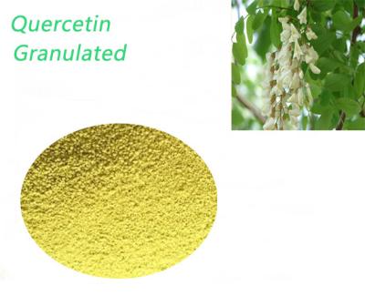 China Quercetin Dihydrate Granular No Irradiation Powder Used In Nutraceuticals for sale