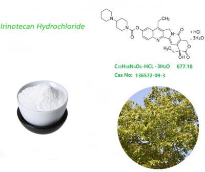 China Polvo medicinal del clorhidrato CP2015 de Irinotecan del grado que trata al cáncer en venta