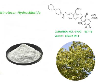 Κίνα Άσπρη σκόνη υδροχλωριδίου CAS 136572-09-3 Irinotecan που χρησιμοποιείται σε ιατρικό προς πώληση