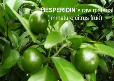 China Citrus Sinensis Extract Hesperidin Powder 85.0%-97.0% By HPLC For Pharmaceutical and supplements for sale