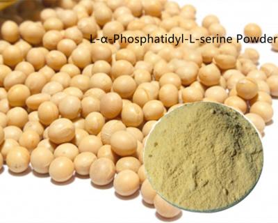 China Soybean Extract Powder L-α-Phosphatidyl-L-serine Powder Used In Health Food for sale