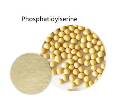 China CAS 51446-62-9 Pure Extract Phosphatidylserine Fine Powder Improving Sleep Quality for sale