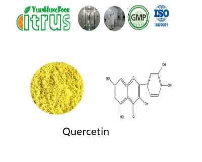 China HPLC Organic Quercetin Powder Natural Sophora Japonica L Extract 98.0% for sale