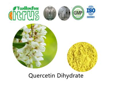 China Pure Quercetin Dihydrate Powder 95.0% HPLC CAS 6151-25-3 for sale