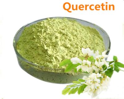 China Nature Scphora Japonica L Extract 95.0% HPLC Quercetin Common Powder Heavy Density for sale