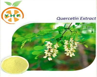 China Quercetin Common Powder Heavy Density Powder 98.0% HPLC For Nutritional for sale