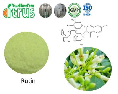 China Het Uittrekselgs95 97% Rutin van aardscphora Japonica L Poeder CAS 153-18-4 Te koop