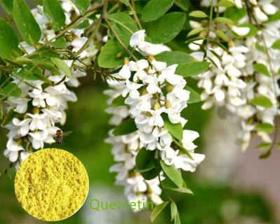 China Nature Quercetin Granular Powder 95% No Irradiation For Enhancing Immunity for sale