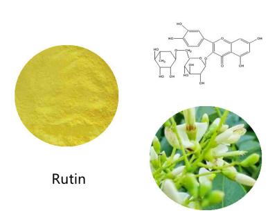 China Plantenextract Sophora Japonica Extract EP Quercetinepoeder Te koop