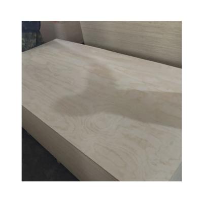 China Newest Contemporary Professional Commercial Wholesale Crate Pine Plywood Wood Sheet for sale