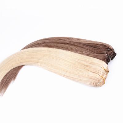 China Straight Wave Best Seller European Curly Clip In Hair Extension All Color 100% Virgin Human Hair Natural Hairline for sale