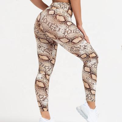 China Custom Women Breathable Snakeprint High Waist Gym Yoga Sports Soft Quick Dry Gaiters for sale