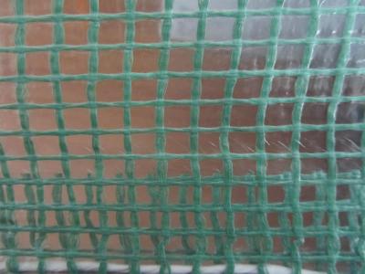 China 130g 2m brede plastic netwerk duidelijke tarps voor serre Te koop