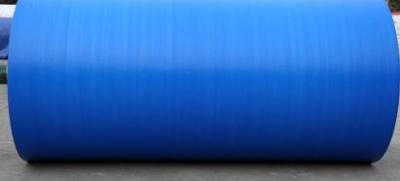 China pe tarpaulin in roll with all kinds of inforation for sale