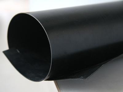 China 2.5mm black color high quality HDPE Geomembrane en venta