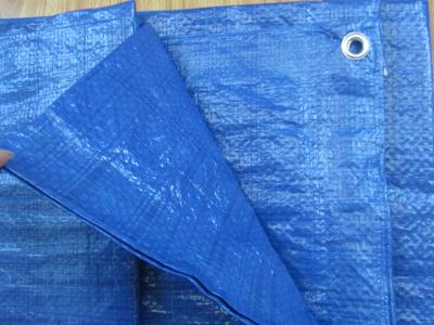 China 55gsm blue color waterproof woven fabric PE tarpaulin poly tarp for sale