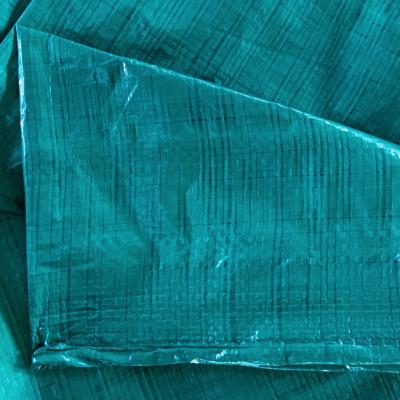 China 1.5x100m green color pe tarpaulin lona roll with aluminum eyelet for Argentina market for sale