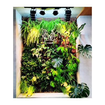 China Green plant pastoral vertical wall decoration garden quasi-ecological planting fabric for sale