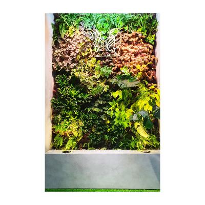 China Home Garden Decoration Factory Direct Selling Garden Artificial Vertical Wall System Plastic Green Wall Indoor And Outdoor Decorative Wall for sale