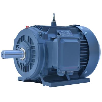 China High Torque 5kw Ac Asynchronous Induction Motor Fully Enclosed CCC/CE/ISO9001 Approval for sale