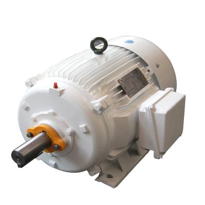 China NEMA Efficiency Premium Three Phase Induction Totally Enclosed Electric Motor for sale