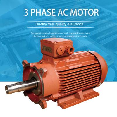 China Totally Enclosed Three Phase Induction Motor 0.55KW~315KW Made in China AC Electric Motor Fan Motor for sale