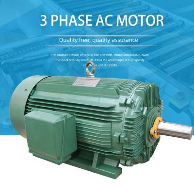 China China Standard High Quality Totally Enclosed Three Phase Induction Electric IEC AC Motor for sale