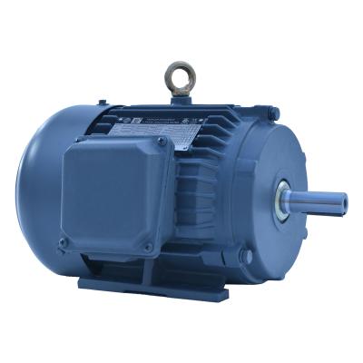 China Customization Totally Enclosed NEMA PE 1HP Medium Size 3 Phase Electric AC Motor for sale