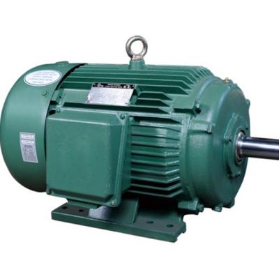 China Chinese Good Quality Totally Enclosed Electric Motor Three Phase Induction Motor for sale