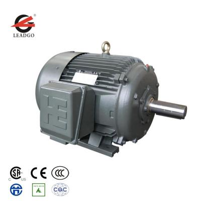 China Totally Enclosed Premium NEMA Efficiency Squirrel Cage Three Phase Induction Motor for sale