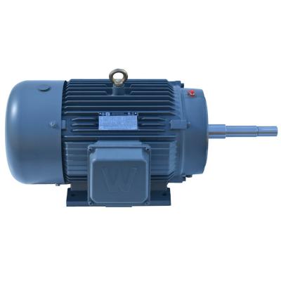 China NEMA Series Totally Enclosed Three-Phase Induction AC Electric Motor for sale