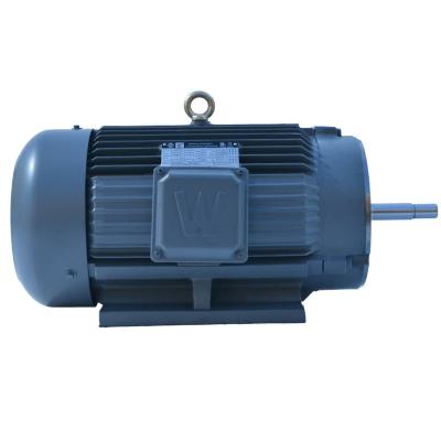 China Totally Enclosed Standard NEMA AC Energy Saving Electric Motor for sale