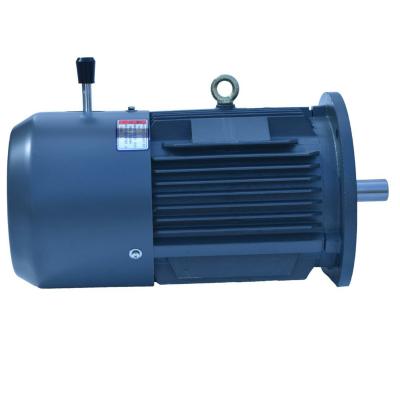 China Waterproof Magnetic Three Phase Electric Induction Motors With Brake for sale