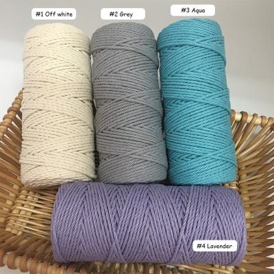 China Handmade Working /Weaving Twist Cotton Rope Wall Hanging 3mm Color Cotton Rope Macrame Weaving Rope for sale