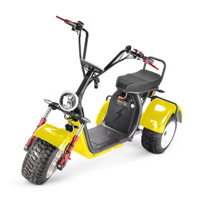 China 200kg Citycoco Mobility Scooter Motorcycle 60 V W Unisex 1500 Brush Less Three Wheel Motor for sale