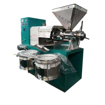 China Peanut Oil Machine Peanut Oil Processing Machine Homemade Oil Pressing Line for sale