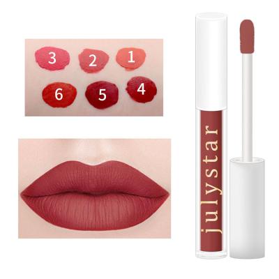 China Waterproof Hot Selling Quality Color Lip Gloss With Custom Private Label for sale