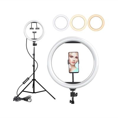 China Portable 2.1M 360 Degree Rotation 12.2inch Dimmable Camera Phone Beauty LED Selfie Ring Light With Tripod Stand for sale