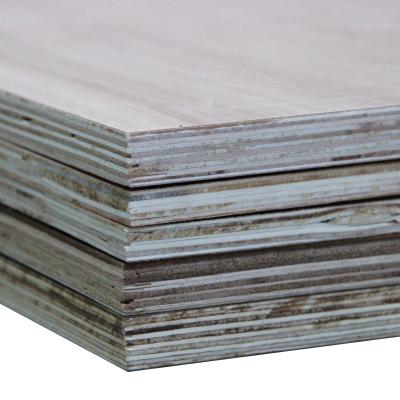 China Traditional furniture grade pine plywood, radiata pine plywood, eucalyptus veneer for plywood for sale