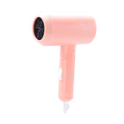 China Other New Salon Hair Blow Dryer Lightweight Blow Dryer Quick Dry Low Noise Travel Hair Dryer for sale