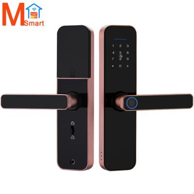 China outdoor/courtyard smart locks high security door anti theft door lock tuya smart wifi biometric intelligent electronic fingerprint for sale