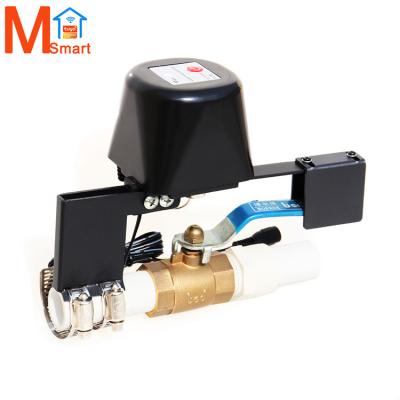 China Unique Design App Control+Voice Smart Wifi Water Valve Switch Garden Sprinklers Compatible with Alexa Google Home and IFTTT for sale