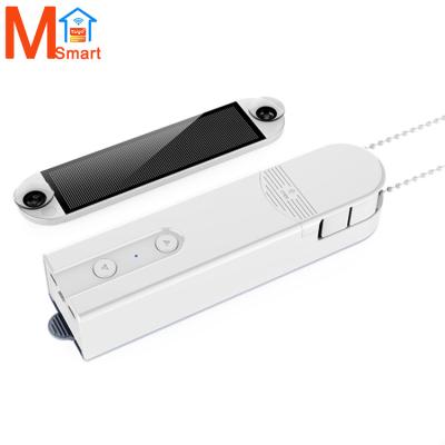 China Popular Zigbee Control Motorized Zebra Window Zigbee Hub Tuya Diy Smart Roller Blinds Chain Drive Motor for sale