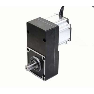 China China Factory Price 12V Garage Door Drip Proof DC Motor for sale