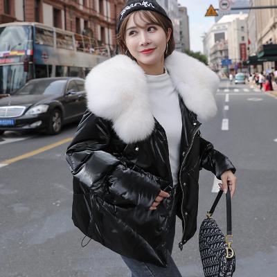 China Free Shipping Anti-wrinkle Fox Fur Collar Jacket Detachable Coat Thickening Inner Warm Shorts Down Jacket Women for sale