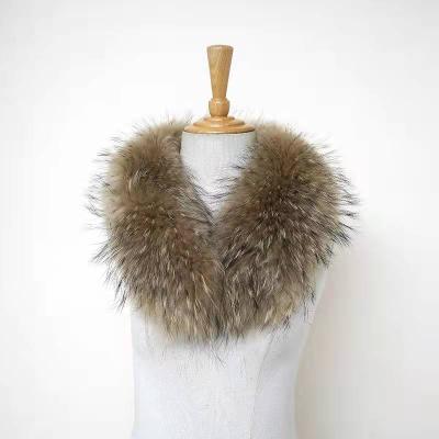 China Environmental Friendly Real Raccoon Fur Detachable Trim For Hood Custom Coat Mens Real Fur Collar for sale